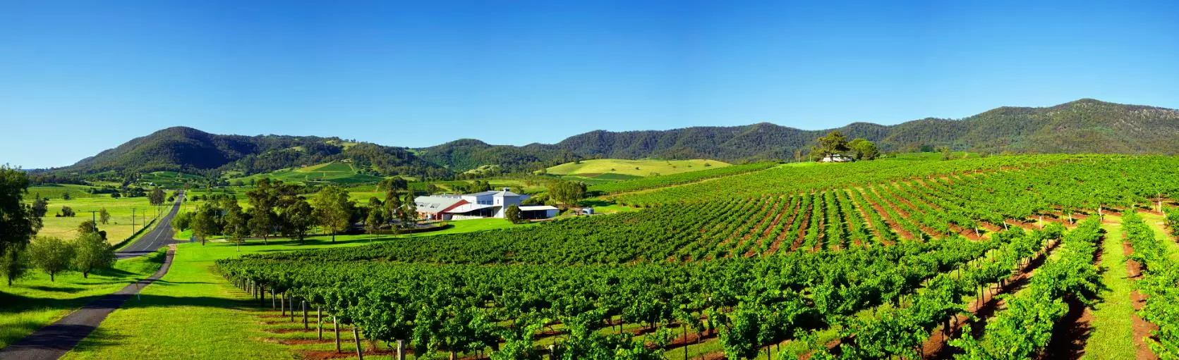 Hunter Valley Wine Tour, Planning a Hunter Valley Wine Tour?, GlowAfter