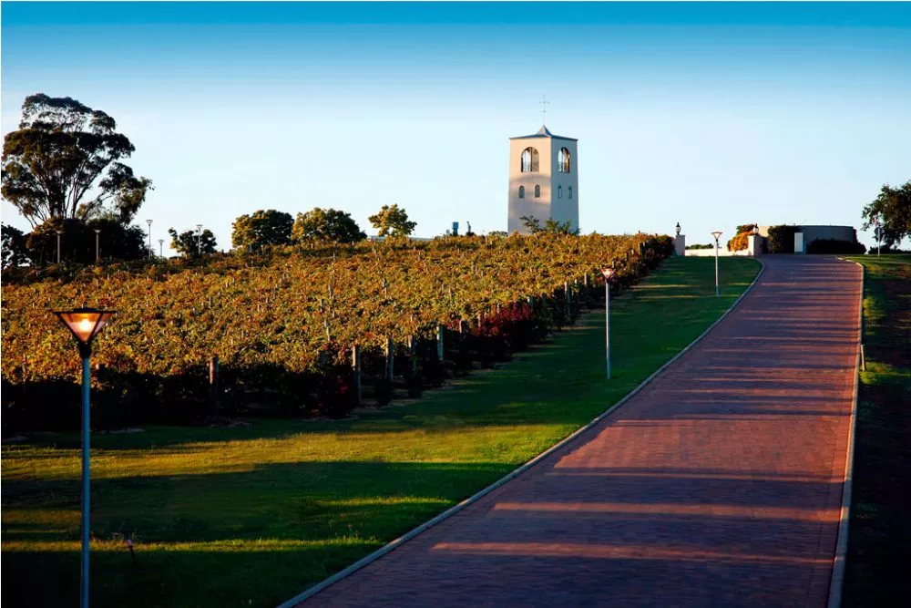 Hunter Valley Wine Tour, Planning a Hunter Valley Wine Tour?, GlowAfter